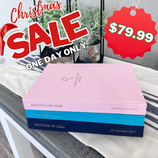 3 Pack  Anchored Faith Journal